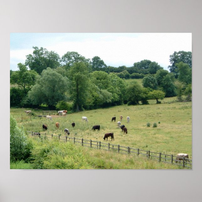 English Farmland Poster (Front)
