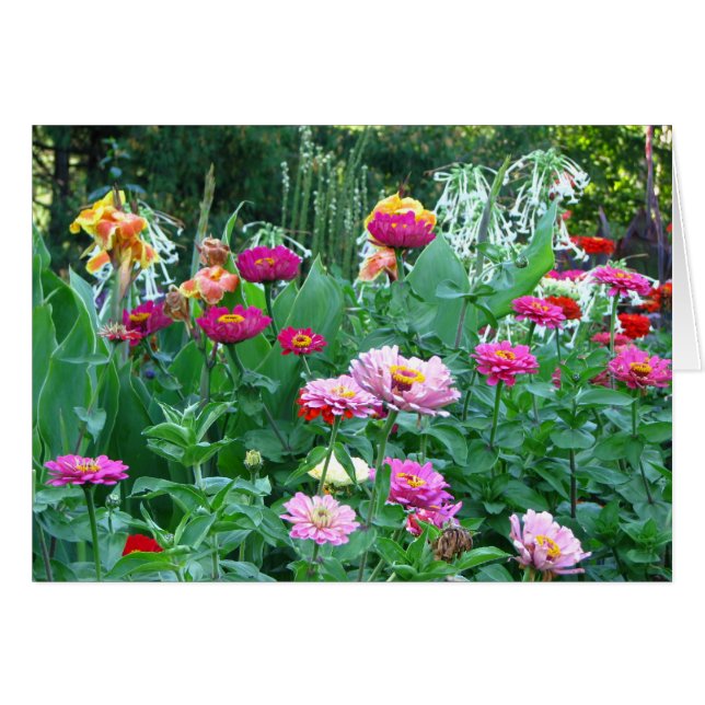 English Garden Florals (Front Horizontal)