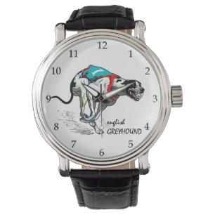 english greyhound race dog watch