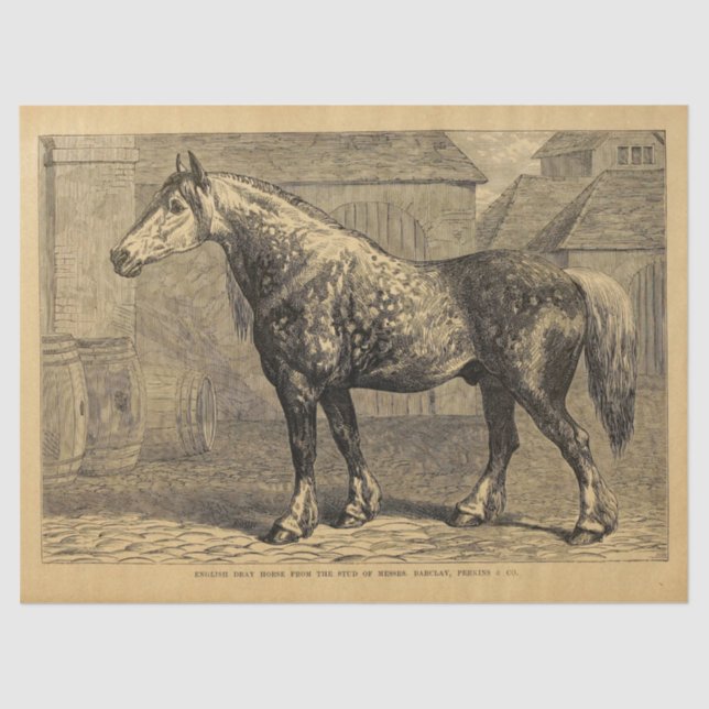 English Horse Ephemera Decoupage Vintage  Tissue Paper (Front)