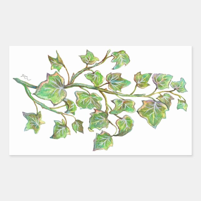 English Ivy Sticker (Front)