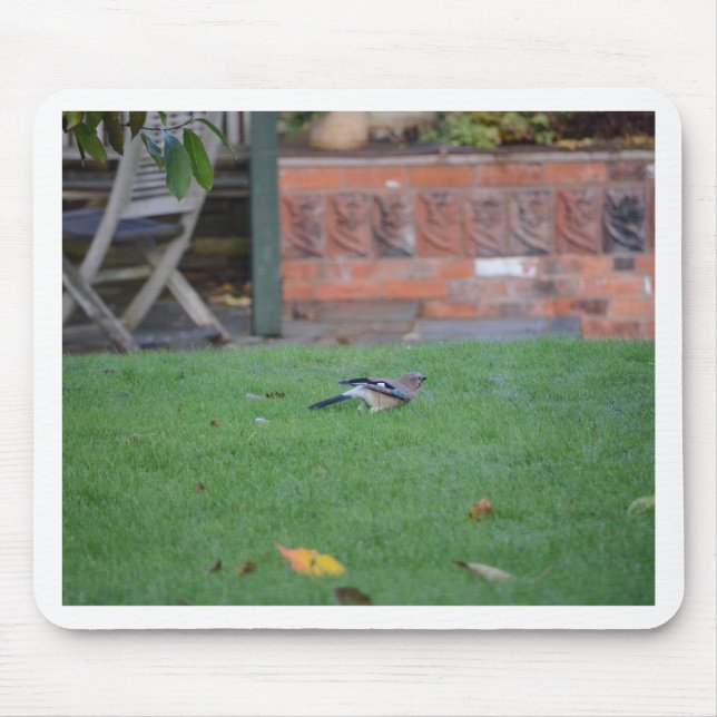 English Jay Mouse Pad (Front)