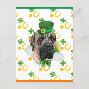 English Mastiff Shamrock St. Patricks Day Holiday Postcard