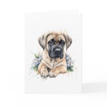 English Mastiff Watercolor