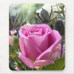 English pink rose close up in garden with sun mouse pad