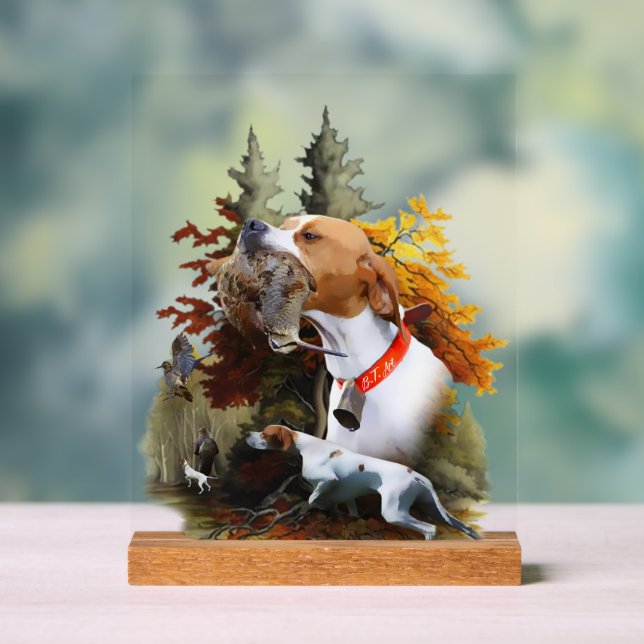 English Pointer  (Neutre)