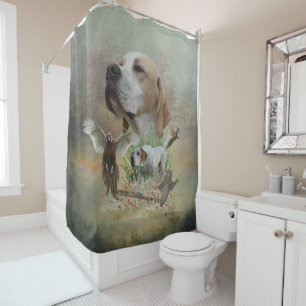 English Pointer