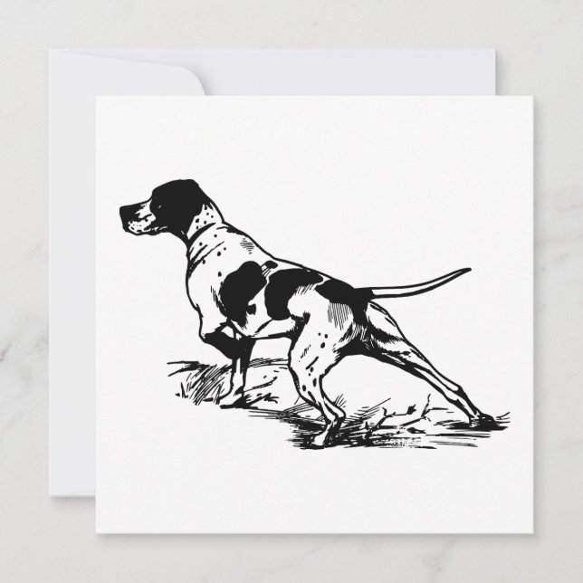 English Pointer (Front)