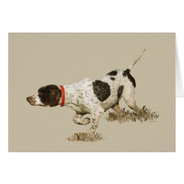 English Pointer (Front Horizontal)