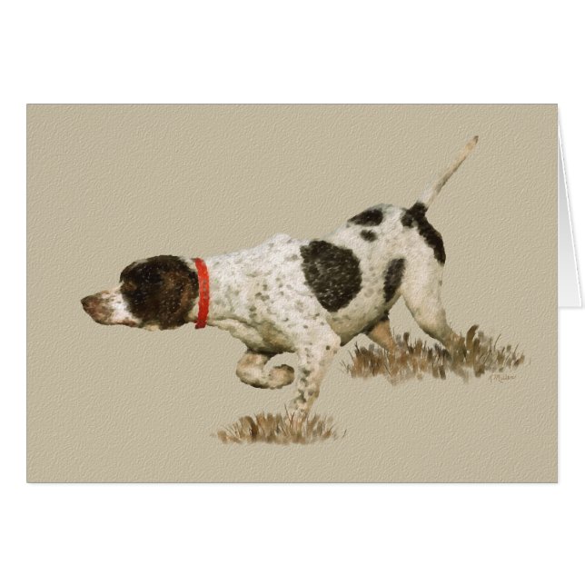 English Pointer (Front Horizontal)