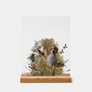 English Pointer  Acrylic Sign