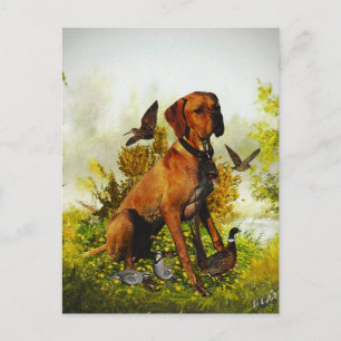 English pointer, bird hunting holiday postcard