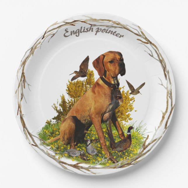 English pointer, bird hunting  paper plate (Front)