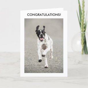 English Pointer Congratulations Card