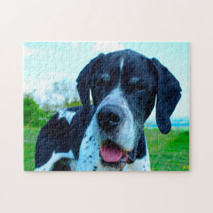 English Pointer Dog. Jigsaw Puzzle