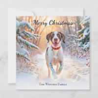 English Pointer Dog Walking In Snow Christmas