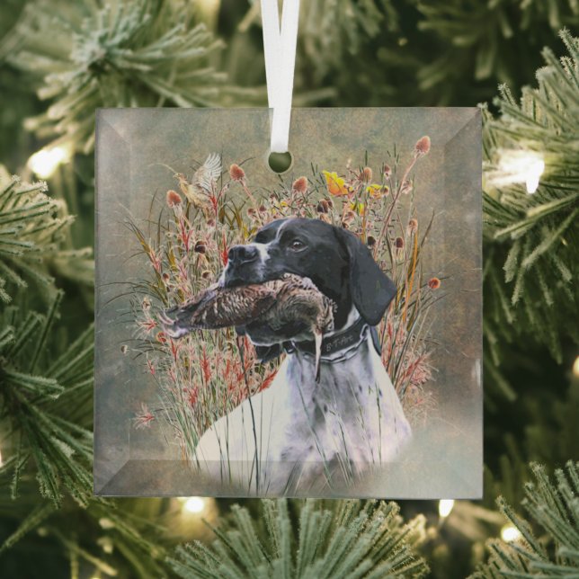 English pointer glass ornament (Insitu)