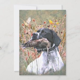 English pointer invitation