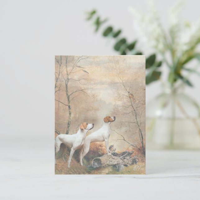 English Pointer is hunting the Pheasants    Postcard (Standing Front)