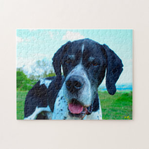 English Pointer. Jigsaw Puzzle