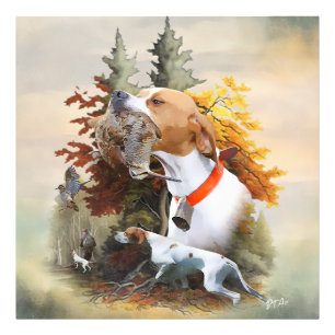 English Pointer Photo Print