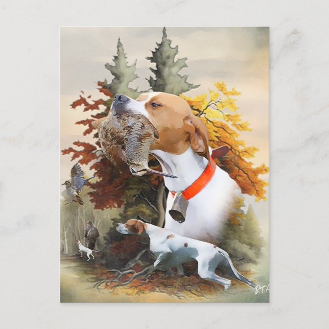 English Pointer  Postcard (Front)