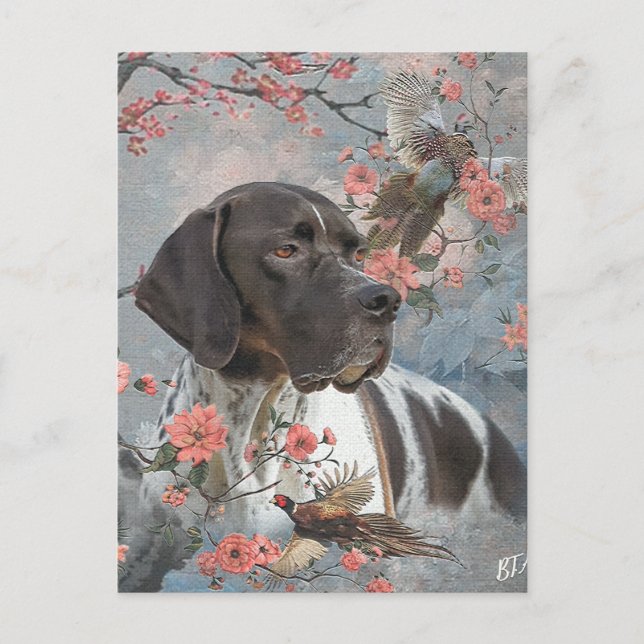 English Pointer  Postcard (Front)