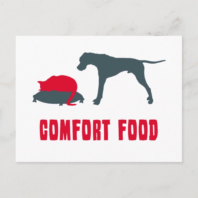 English Pointer Postcard (Front)