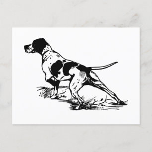 English Pointer Postcard