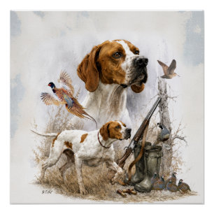 English Pointer Poster