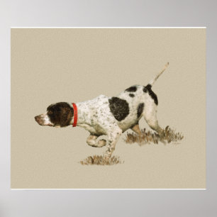 English Pointer Poster