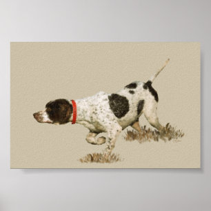 English Pointer Poster