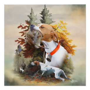 English Pointer Poster