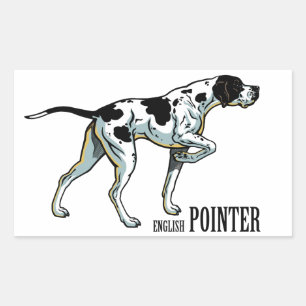 english pointer sticker