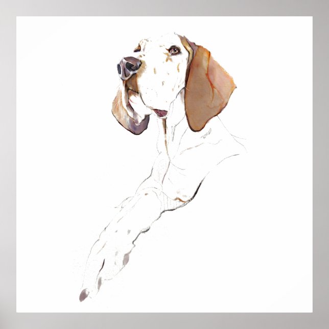 English Pointer Wall Art Poster, Dog Art Print (Front)