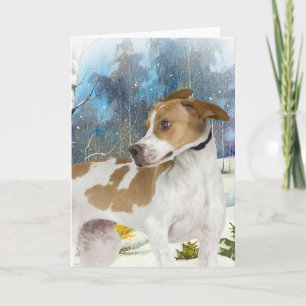 English Pointer winter scene cards