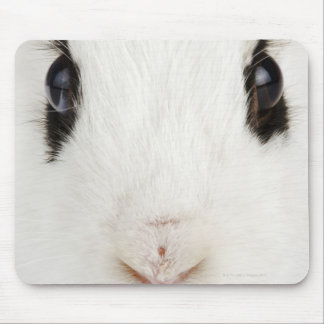 English rabbit (Oryctolagus cuniculus) Mouse Pad