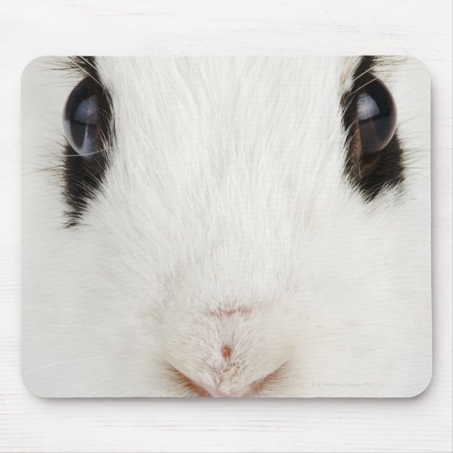 English rabbit (Oryctolagus cuniculus) Mouse Pad (Front)