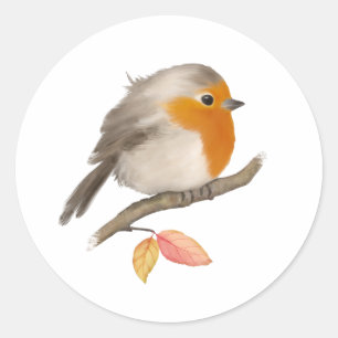 English Robin Bird Classic Round Sticker