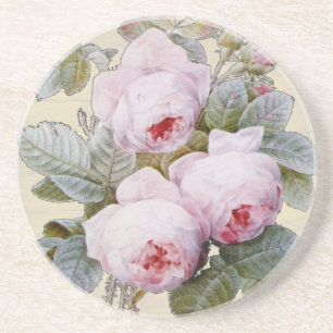 English Rose Garden Bourbon Pink Floral Coaster
