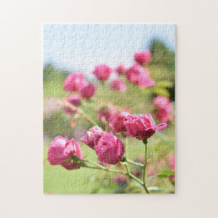 English Rose Garden Kew Gardens London UK Jigsaw Puzzle