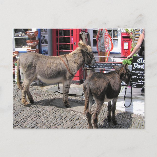 English Scenes, Donkeys in Clovelly, North Devon Postcard (Front)