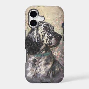 English Setter 