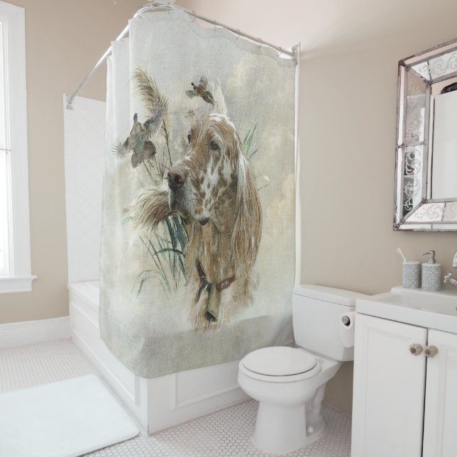 English Setter (In Situ)