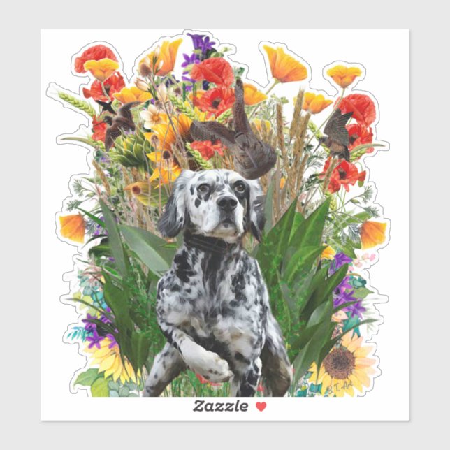 English Setter         (Sheet)