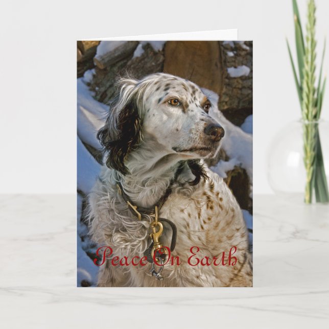 English Setter #2 Holiday Card (Front)