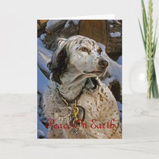 English Setter #2 Holiday Card