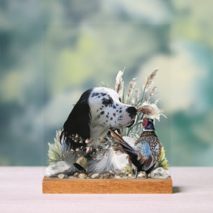 English Setter Acrylic Sign