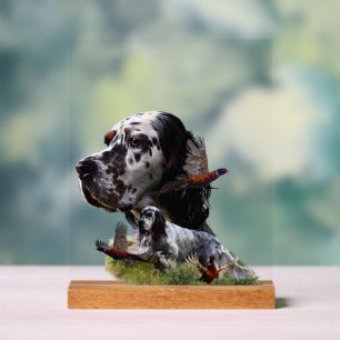 English Setter  Acrylic Sign