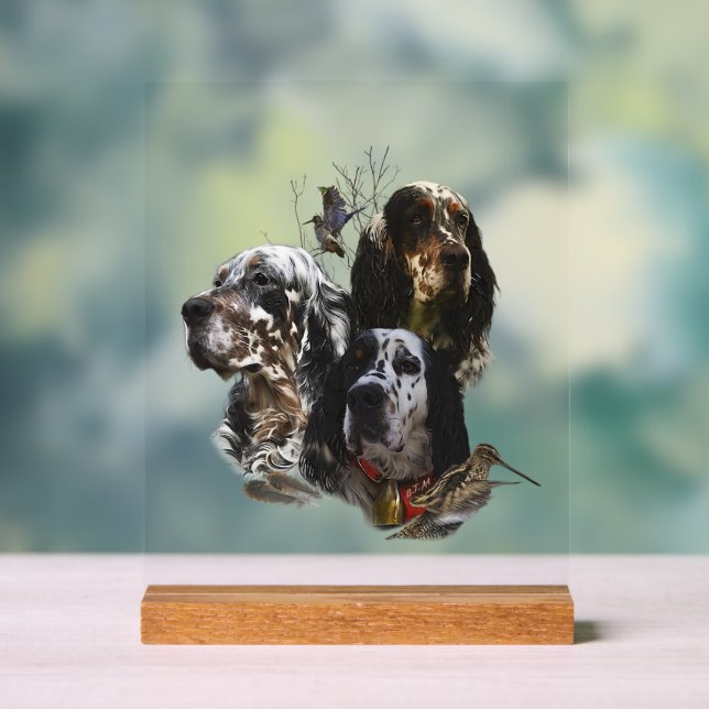 English Setter  Acrylic Sign (Neutral)